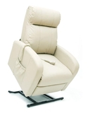 Euro Leather Liftchair-furniture-Access Mobility